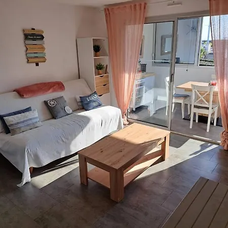 Les Terrasses De La 255, T3 Bien Equipe, Wifi, Parking * Agde