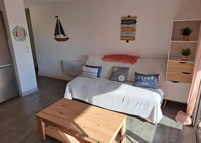 公寓 Les Terrasses De La 255, T3 Bien Equipe, Wifi, Parking 阿格德